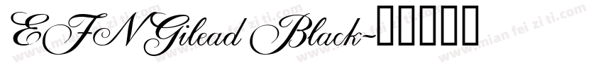 EFN Gilead Black字体转换